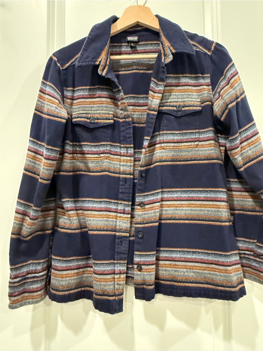 Patagonia Flannel button down